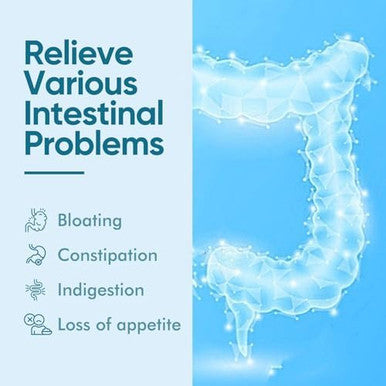 300 Billion Afu Akkermansia Probiotic, Glp-1 Probiotic For Women & Men, Akkermansia Muciniphila For Glp-1 Production, Digestive, Gut & Immune Health, 120 Capsules
