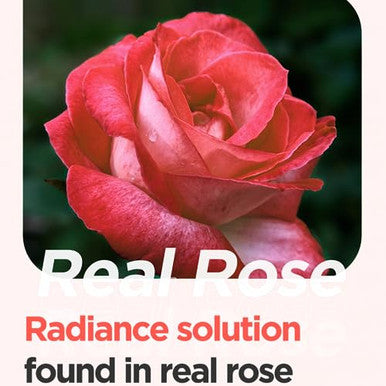 Isntree Real Rose Calming Face Mask 3.38 Fl. Oz. Moisturizing Nourishing & Soothing 60% Damask Rose Water Amino Acids Complex Hyaluronic Acid