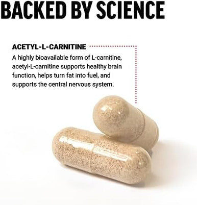 Force Factor Acetyl Lcarnitine Brain Supplement Nerve Support Supplement And Cellular Energy Booster Acetyl Lcarnitine 500Mg Premium Quality Vegan Nongmo 100 Vegetable Capsules
