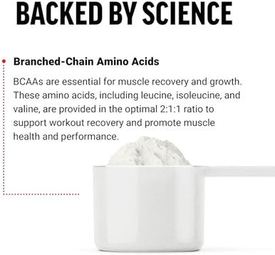 Force Factor Bcaa Amino Acids Supplement 2:1:1 Delicious And Refreshing Bcaa Powder To Support Muscle Recovery And Performance No Artificial Colors Or Flavors Cherry Limeade 30 Servings