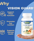 Dr Herbal Well Vision Guard 60 Capsules