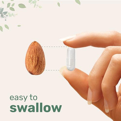 Micro Ingredients Probiotics For Women 100 Billion Cfu With Prebiotics 120 Veggie Capsules