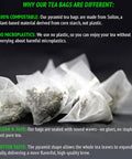 White Mulberry Leaf Tea - 30 Pyramid Teabags - USDA Organic Morus Alba