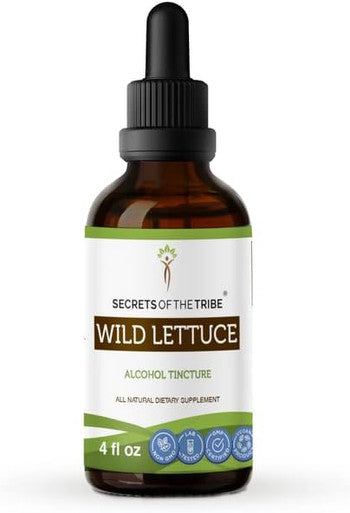 Secrets of the Tribe Wild Lettuce Tincture Alcohol Extract, High-Potency Herbal Drops, Tincture Made from Lactuca virosa Digestive Health 4 oz