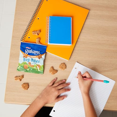 Cinnamon Graham Crackers Bug Bites, Made with Whole Grain, Delicious Snacks for the Whole Family, Stock up and Enjoy them (Pack of 20)