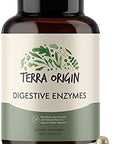 Terra Origin Digestive Enzymes With Probiotics & Prebiotics 60 Capsules Supports Digestive Gut Health Non Gmo Gluten Vegan For Women And Men