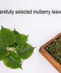 DYBOEDYO Mulberry Leaf Tea 12.35oz/350g,Mulberry Leaves Tea,Sun-Dried Mulberry Loose Leaves Sang Ye Tea, Ã¦Â¡â€˜Ã¥ÂÂ¶Ã¨Å’Â¶ Ã¦Â¡â€˜Ã¨â€˜â€°Ã¨Å’Â¶