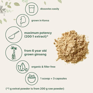 Micro Ingredients Maximum Strength Organic Korean Ginseng Root 200 1 Powder 4 Ounce Red Panax Ginseng Powder Active Ginsenosides Vegan Friendly