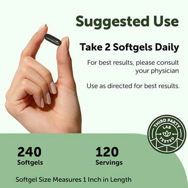 Micro Ingredients Moringa Leaf Extract 500Mg Per Serving 240 Softgels 4-In-1 With Omega-3 Oil Of Oregano & Black Seed Oil 4 Month Supply Non-Gmo