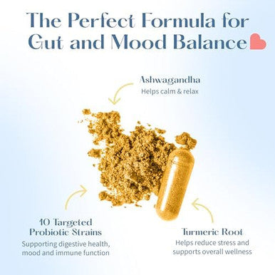 Lovebug Stress And Mood Support Probiotics With Ashwagandha And Baby Probiotic Drops Bundle
