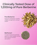 Hum Best Of Berberine Supplement 1200Mg Pure Potency For Metabolic Wellness Enhanced With Bioperine For Maximum Absorption (60 Capsules)
