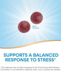 Nature'S Way Ashwagandha Gummies Reduce Stress With Adaptogenic Herb 125 Mg Per 2-Gummy Serving Berry Flavored 90 Gummies (Packaging May Vary)