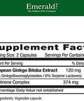 Emerald Labs Ginkgo Biloba Extract - Brain Health Supplement - Antioxidant & Energy Support - 60 Vegetable Capsules (30-Day Supply)