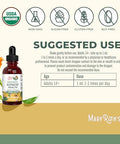 Maryruth'S Maryruth Organics Usda Organic Respiratory Health Liquid Drops With Mullein Leaf Marshmallow Root & Elderberry Mullein Drops For Lungs Herbal Blend Immune Support Supplement Vegan 1 Fl Oz