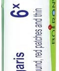 Boiron Berberis Vulgaris 6X White 80 Pellets