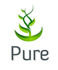 PURE ORIGINAL INGREDIENTS Agmatine Sulfate, (100 Capsules) Always Pure, No Additives Or Fillers, Lab Verified