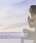 PURE ORIGINAL INGREDIENTS Wild Cherry Bark (100 Capsules), Always Pure, No Additives Or Fillers, Lab Verified