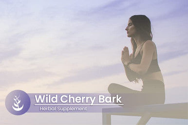 PURE ORIGINAL INGREDIENTS Wild Cherry Bark (100 Capsules), Always Pure, No Additives Or Fillers, Lab Verified