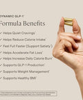 Stonehenge Health Dynamic Glp1 Weight Management Supplement For Women And Men 550Mg Berberine Akkermansia Supports Appetite Regulation Metabolic Wellness Gut Health Vegan Nongmo 60 Veg Caps