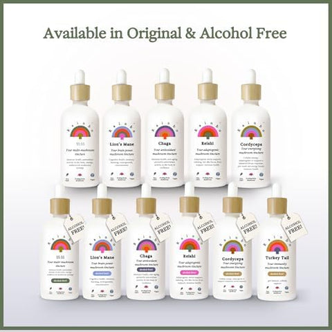 Rainbo Longevity Bundle Reishi Mushroom Extract + Chaga Mushroom Tincture Dual Extract Daily Mushroom Tinctures For Comprehensive Immune Support Vegan Liquid Mushroom Supplements