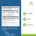 Terry Naturally Thyroid Care Immune Health & Energy Support Formula Nutritional Supplement With Iodine For Thyroid Health Support Wellness Supplement With Ltyrosine 120 Capsules
