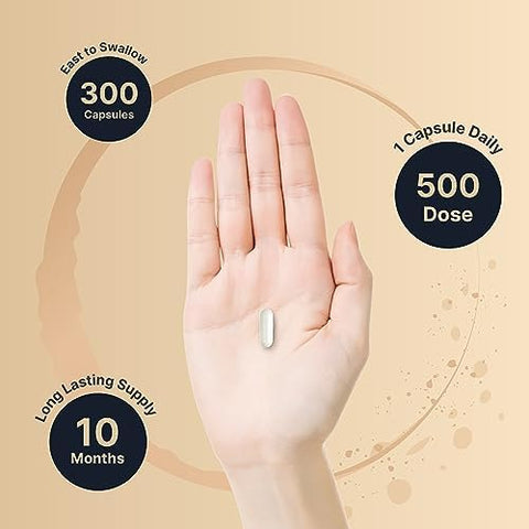 Magnesium Complex 500mg 300 Capsules 10in1 Magnesium Glycinate Citrate Malate and More Chelated Form for Easy Absorption NonGMO