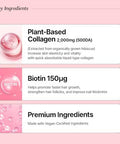 Bb Lab Plant Collagen Booster Glow Shot 15G14Sticks Korea Collagen Extract With Biotin 2000Mg Vegan Collagen For Woman Plantbased Organic Hibiscus Flower Fast Absorption Shine Muscat Flavor
