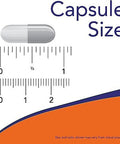 Now Foods Nac 600 Mg 100 Vcaps 2 Pack