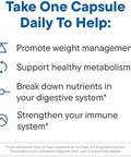 Dailynouri Weight Support Probiotic For Women & Men Supports Healthy Weight Management Metabolism Digestion & Gut Health 3 Clinically Studied Strains + Vegan Omega Oil 30Day Supply
