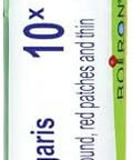 Boiron Berberis Vulgaris 10X For Skin Rash With Round Red Patches & Thin Flakes 80 Pellets