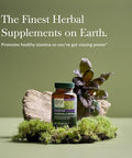 Gaia Herbs Rhodiola Rosea Stress Support Supplement Traditionally For Supporting Healthy Stamina And Endurance 120 Vegan Liquid Phytocapsules (60Day Supply)