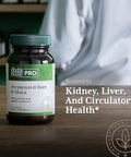 Gaia Herbs Pro Fermented Beet & Maca Healthy Energy & Circulation Support Supplement Kidney Health Supplement With Beet & Carrot Root Vegan Gluten Soy 60 Capsules (30 Servings)