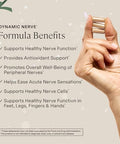 Stonehenge Health Dynamic Nerve Supplement Supports Nerve Function In Fingers Toes Hands And Feet With Alpha Lipoic Acid Ala Benfotiamine Pea Robust B Complex Boswellia