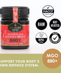 BIOSOTA Organic Manuka Honey MGO 800+ - Medical Grade Manuka Honey from Australia, 100% Raw Unheated Pure Honey, 8.8oz (800+) (MGO 800+)