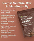 Dr Matthew Chocolate Collagen Powder