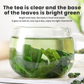 Mulberry leaf tea 7.05 oz -Fried mulberry leaves after frost-Tea fragrance Ã¦Â¡â€˜Ã¥ÂÂ¶Ã¨Å’Â¶200g