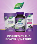 Nature'S Way Sambucus Zero Sugar Immune Gummies, Daily Immune Support, Black Elderberry Extract, Vitamin C, Vitamin D3, Zinc, Sugar Free, Sugar Alcohol Free, Plant-Based Sweeteners, 70 Gummies