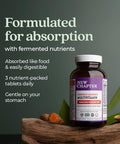 Chapter Energy Supplement - Perfect Energy Multivitamin For Balanced Energy + Stress Support With B Vitamins + Vitamin D3 + Organic Non-Gmo Ingredients - 96 Ct