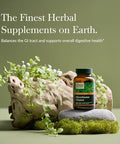 Gaia Herbs Microbiome Cleanse With Black Walnut Sweet Wormwood Oregano & Peppermint 60 Vegan Liquid Phytocapsules (30Day Supply)