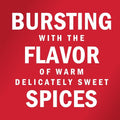 McCormick Apple Pie Spice, 1.12 oz