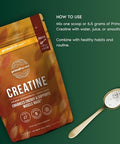 Primal Creatine Powder + Super Greens Powder Bundle 2Pack Build Strength Boost Recovery & Support Wellness 30 Servings Each