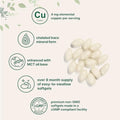 Copper Glycinate With Mct Oil 500 Softgels 4 Mg Elemental Copper Per Serving Chelated Copper Mineral Supplement Essential Trace Mineral NonGmo Cgmp Manufactured