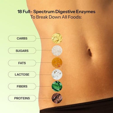 Hum Flatter Me Digestive Enzymes Bloating Supplement Fastacting Bloat Relief For Digestive Health & Debloating Multi Enzymebloat Pills Anti Bloat Pills Vegan 60 Servings