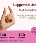 Micro Ingredients Methylated B Complex For Women 240 Vegetarian Capsules Activated B Vitamins With Methylfolate Methyl B12 Dim & Inositol Complex 14-In-1 Bioactive B Vitamin Formula