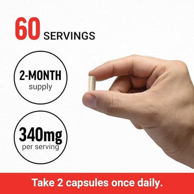 Force Factor Magnesium + Ltheanine Magnesium Bisglycinate Supplement To Support Bones Muscles Nerves Relaxation And Mood Vegan No Gelatin Nongmo 120 Vegetable Capsules