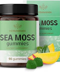 Herbamama Irish Sea Moss Gummies - 1600Mg True Sea Moss Supplement With Bladderwrack And Burdock Root - Vegan Non-Gmo Skin Glow Energy & Immune Support - 90 Pectin-Based Mango-Flavored Chews