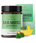 HERBAMAMA Irish Sea Moss Gummies 1600mg True Sea Moss Supplement with Bladderwrack and Burdock Root Vegan NonGMO Skin Glow Energy and Immune Support 90 PectinBased MangoFlavored Chews