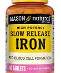 Mason Natural Slow Release Iron Unflavored 60 Count Pack Of 3