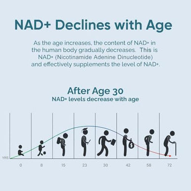 Nad Supplement 1000Mg, True Nad+ & Resveratrol, Nmn Alternative For Cellular Energy & Healthy Aging - 2 Pack
