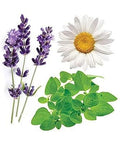 Doterra Serenity Essential Oil Restful Blend 15 Ml